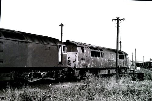 Class 1065 westbury 8 - class,