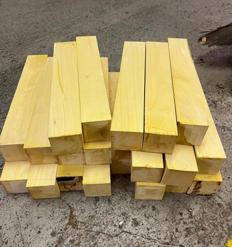 Lemonwood x 12 - 2, 2