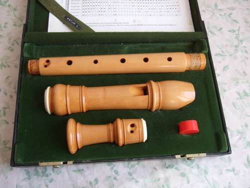 Moeck rottenburgh 339 treble - 339,