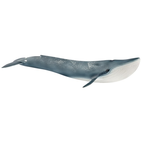 Schleich wild life - wild, blue