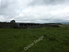 Photo 6x4 Sheep shelters in a