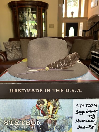 Stetson sage brush - brush, 7