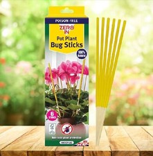 Houseplant sticky insect - 6,
