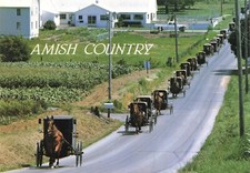 Postcard PA Amish Country
