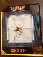 WWE Official Scale Cage Match