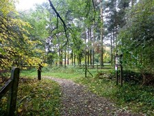 Photo A3 Newbourne Hill Rowney Green A short walk along footpath into wo c2013