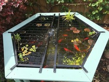 Fish pond cover - fish,