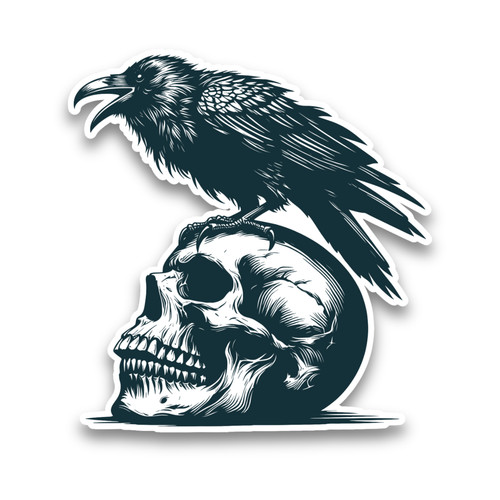 Crow raven bird and - bird,