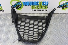 Suzuki GSXR 1000 Panel Front