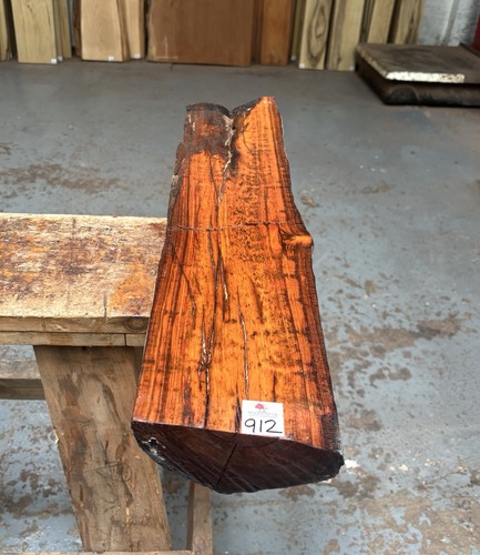 Snakewood 620x145x65mm high - /,