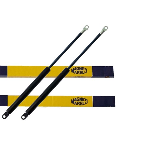 Gas struts bonnet - 2x,