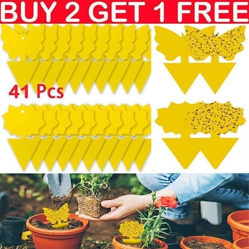41x yellow sticky fly - yellow, trap