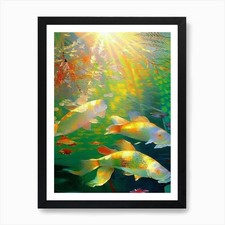 Benigoi Koi 1, Fish Monet
