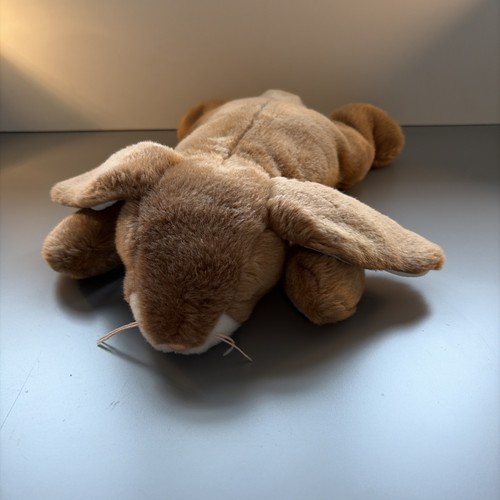 Beanie buddies ears 2001 - ty,
