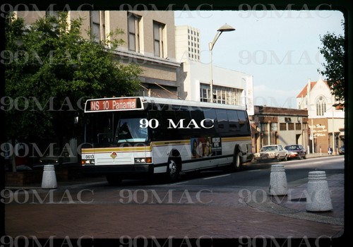 Jta neoplan bus 8613 - bus, #8613