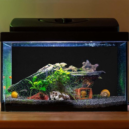Aquarium background static - aquarium,
