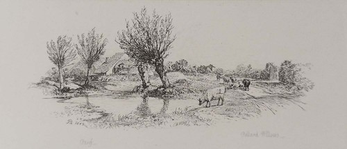 Pollard willows original - pollard,