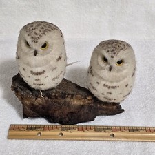 VTG Faux Taxidermy Snowy Owl