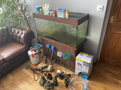 Fresh water aquarium full - water,