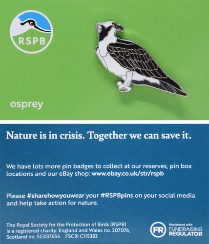 Rspb pin badge niic - pin,