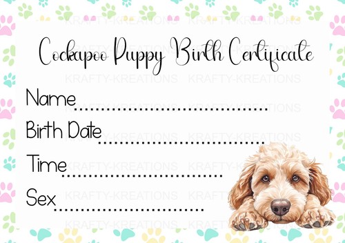 Cockapoo puppy birth - puppy,