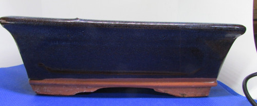 Bonsai tree pot original - tree, pot-original
