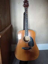Brunswick Electric Acoustic