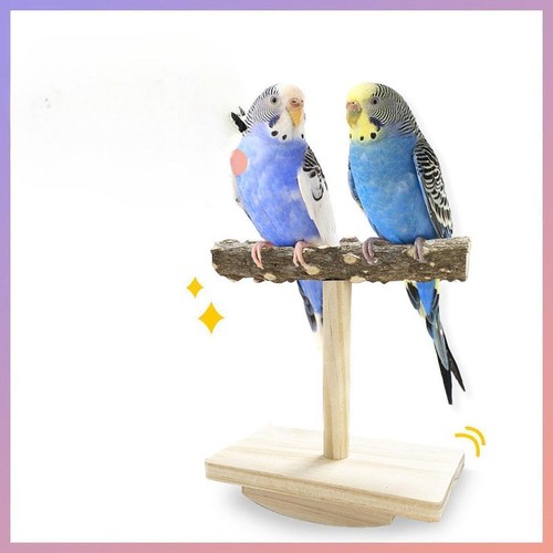 Bird stand perch toy parrot - stand,