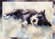 Sleeping Border Collie 5"x7"
