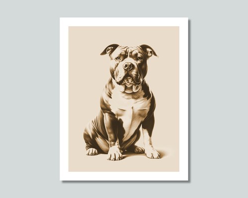 American bully dog photo - american,
