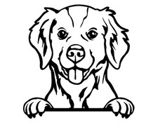 Brittany Spaniel Dog Car Van