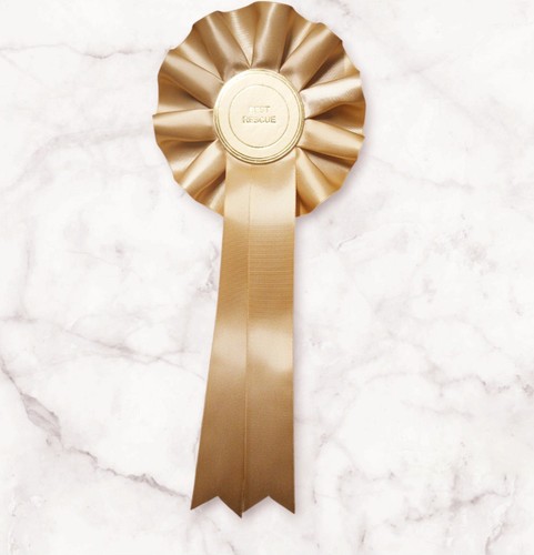 Best rescue rosette gold - rosette,