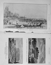 Old Antique Print 1909 Rowing