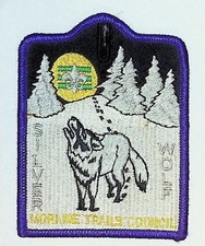 Boy Scout Event Patch Silver