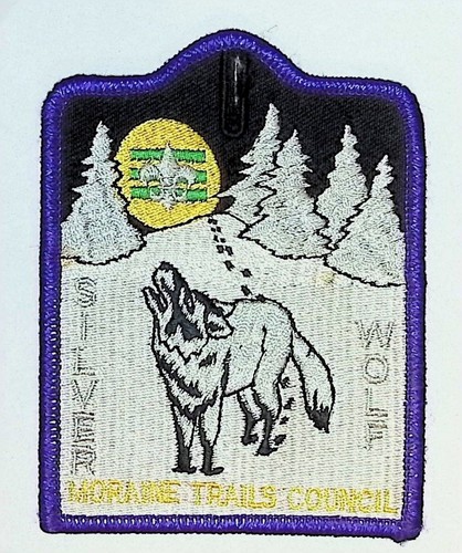 Boy scout event - boy, patch