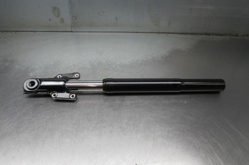 Harley davidson flsb sport - davidson,