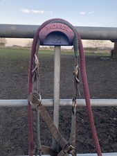 Personalised Magnetic Bridle