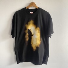 Joe Satriani The Extremist