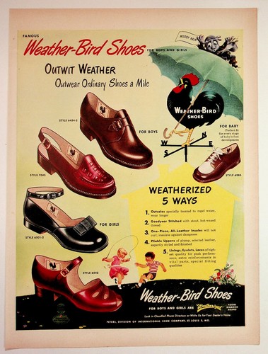 Weather bird shoes - weather-bird,