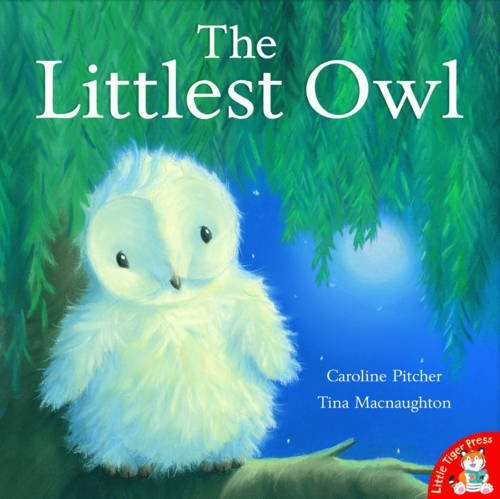 The littlest owl paperback - littlest,