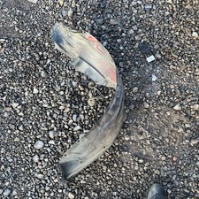 Toyota MR2 MK1   - Front left wheel arch liner Splash Guard 