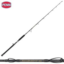PENN Baitcasting Jigging Rod