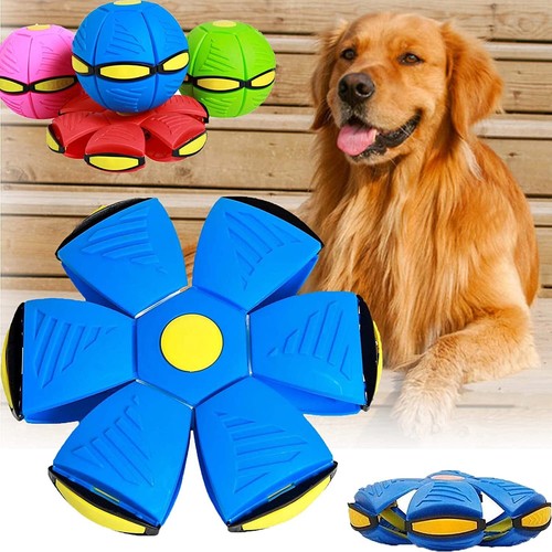 Children bouncing ball - bouncing,