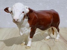 Beswick Polled Hereford Bull