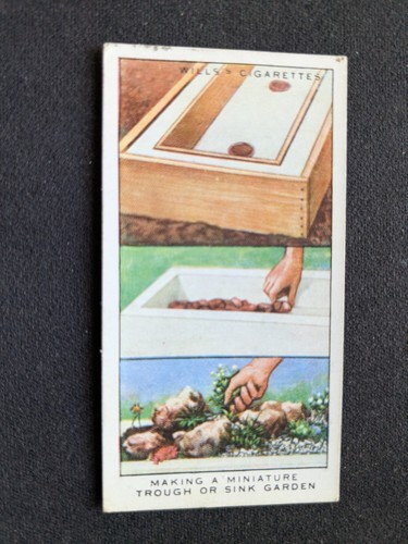1938 wills garden hints card - wills,