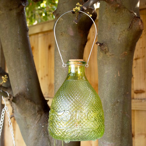 Hobnail glass wasp trap - glass,