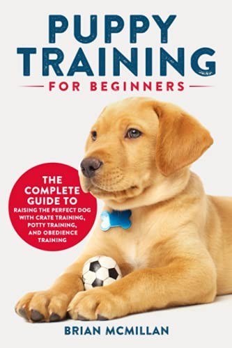 Puppy training for beginners - training,