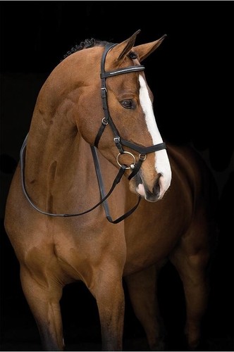 Horseware rambo micklem - rambo,