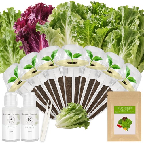 Pod salad seed - kit, grow