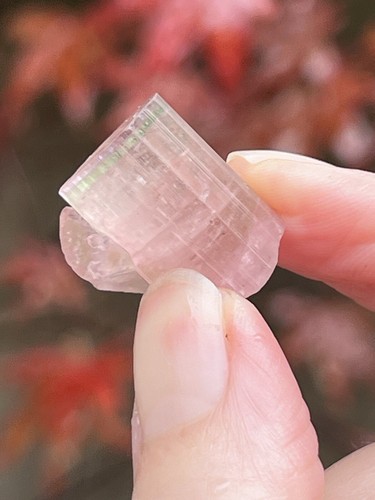 Pink tourmaline rod terminated - pink,